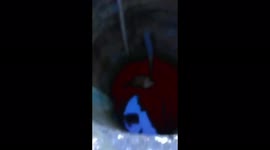 Waterlogged cat fished out of four-metre-deep well in Indonesia