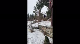 '6'8 300-Pound Man Shows How to NOT Ride a Snowboard '