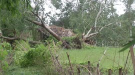 Damage made by Cyclone Yaas in Odisha, India