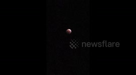 Super Flower Blood Moon seen in Solana Beach, California