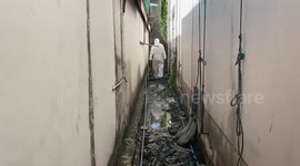 Kitten stuck in between two walls rescued in Thailand