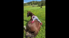 Little girl adorably cuddles on the back of her horse