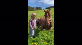 Little girl trying to save her horse from the flies.