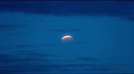 Patience has its reward as Super Flower Blood Moon eclipse captured over the Skies of Seattle