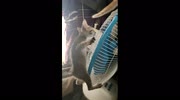 temp