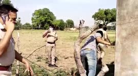 Police officials recover carcasses of birds from tree and cremate them in central India