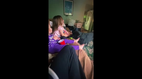 Sisters playing fetch with beeper the dog on the couch beeper knew they needed a little cheering up