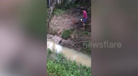 Passing motorcycle rider saves two puppies stuck in muddy ditch