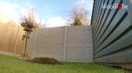 'Rat Wars Season 4 Finale - Ratapult 2 in Action '