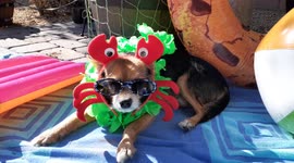 When you are ready for the beach, but you live in the desert