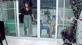 Cat races with owner inside their home to steal box of tissue