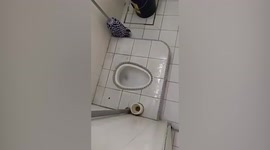 Wild monitor lizard tries to escape through toilet bowl when caught inside bathroom