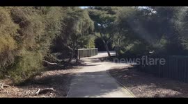 Rotorua is a place with lots of thermal activities. Here is a snapshot right in the middle of the city center