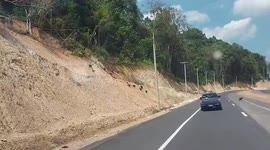 Monkeys hold up traffic while running across road in Thailand