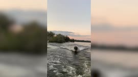 Close call: Terrifying moment a huge hippo CHASES a speedboat full of sightseers in Zambia
