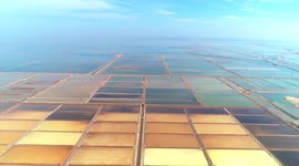 Colourful salt ponds in eastern China look like an artist's palette