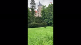 'Amy the Ball-Catching Dog Playing Fetch Outside a Beautiful Castle '