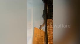 Snake terrifies family after slithering into home in Bangkok