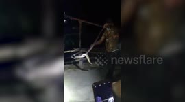 Nearly 5-feet-long spectacled cobra hiding inside ceiling gets rescued in northern India