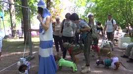 Pets Fashion show at the Petshop Days event in St Petersburg, Russia