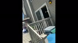 My chubby cousin tried to jump over the railing into the pool and failed!