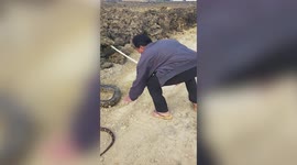 Trucker drags away large python blocking road in Thailand