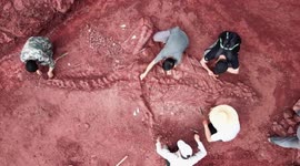 Paleontologists discover 180-million-year-old giant dinosaur fossil in southwestern China