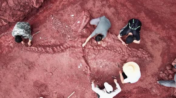 Paleontologists discover 180-million-year-old giant dinosaur fossil in ...