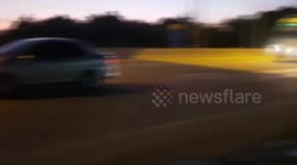 Kitten rescued after getting stuck in car engine in Thailand