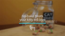 Your Cat Will Go Crazy for These Tuna Treats That You Can Make at Home