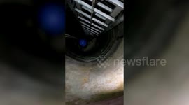 Woman jumps into deep well to end her life, gets rescued in southern India