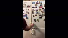 The cat tried to steal a cucumber in the refrigerator