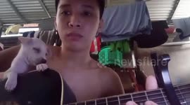 Adorable footage shows cute puppy dozing off on guitar during lullaby