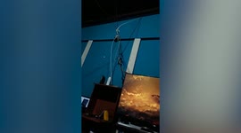 Cheeky snake crawls along TVs wire while shocked resident watches movie
