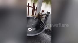 Squirrel holds out paw to operate sensor water tap in China