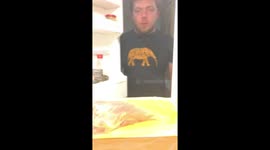 The cat is trying to steal a chicken from the refrigerator