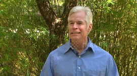 Amazing Birth of California Condor Chick Caught on Camera