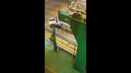 Dock Wildlife, Learn how to fly.