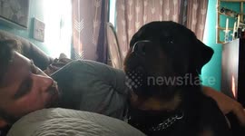 Rottweiler mimics owner as she tells her dog 'I love you'