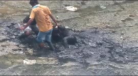 Drunk man who passed out on muddy river bed in India is rescued by passers-by