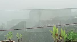 Heavy rain hits India's Madhya Pradesh