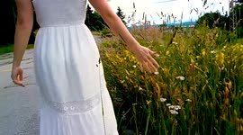 Spring time over grown with flowers set of old stairs Powell River British Columbia