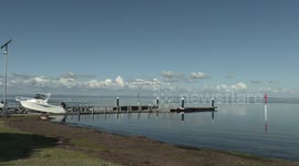 Australian Pelicans waiting and hoping for scraps from fishermen returning with their catch
