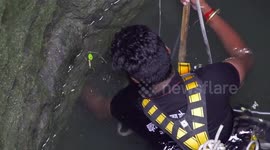 Indian wildlife official lowered into well to rescue snake trapped at bottom