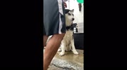 temp
