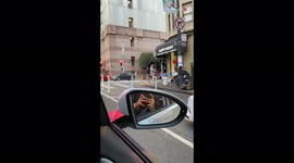 'Dog on Top of a Dog | Training Done Right'