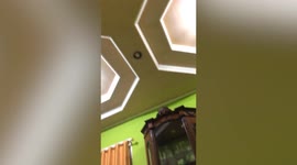 Pet cat sticks head out of hole in ceiling to ‘spy’ on people like CCTV camera