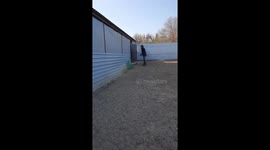 Chickens on the farm are released outside to eat