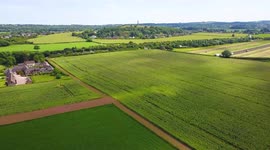 Glorious video show miles of poppies blooming across the English countryside