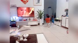 Pet cat gets revenge on one-year-old girl by using its butt to knock her down